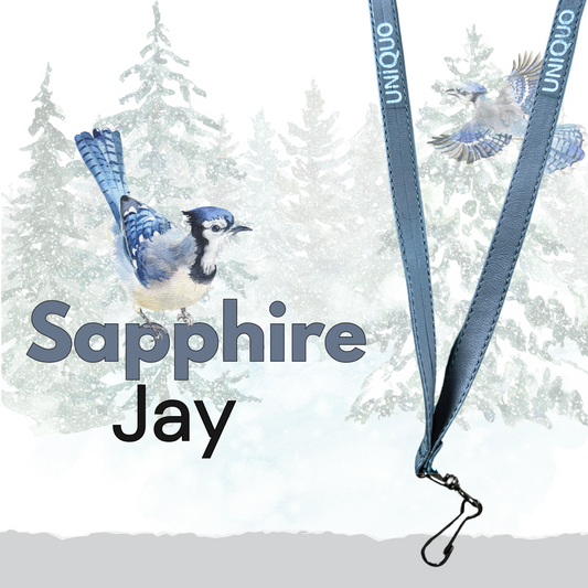 Sapphire Jay